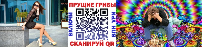 Галлюциногенные грибы мухоморы  гидра   Бакал 